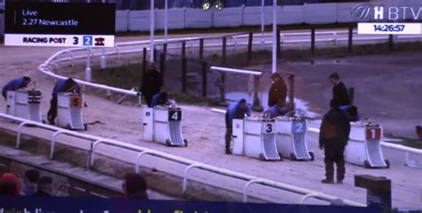 greyhound handicapping|Handicap (greyhound racing) .